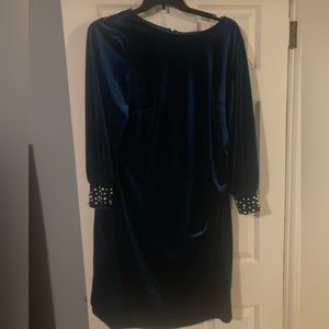 Beautiful velvety long sleeve dark teal dress!